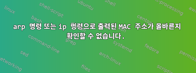 arp 명령 또는 ip 명령으로 출력된 MAC 주소가 올바른지 확인할 수 없습니다.