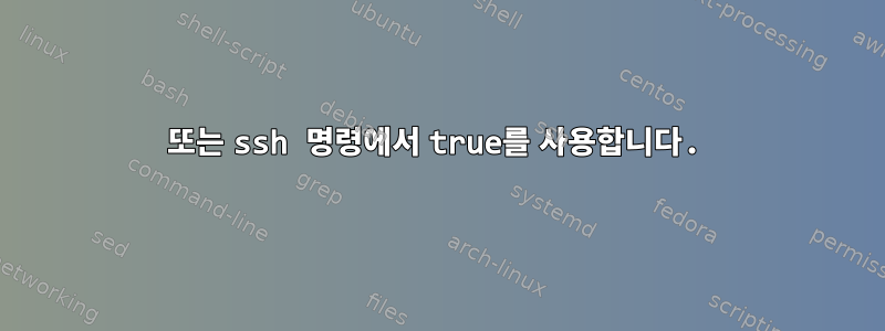 또는 ssh 명령에서 true를 사용합니다.