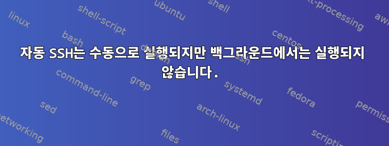 자동 SSH는 수동으로 실행되지만 백그라운드에서는 실행되지 않습니다.