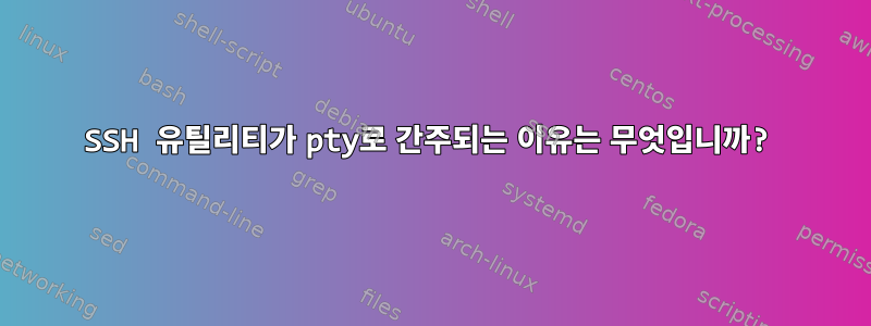 SSH 유틸리티가 pty로 간주되는 이유는 무엇입니까?