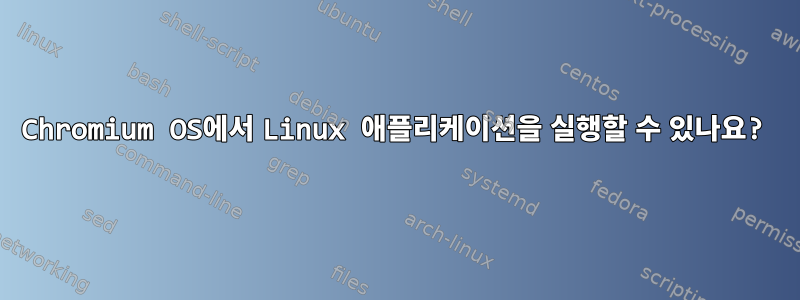 Chromium OS에서 Linux 애플리케이션을 실행할 수 있나요?