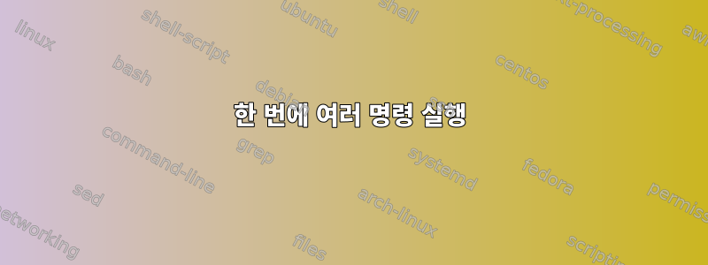 한 번에 여러 명령 실행