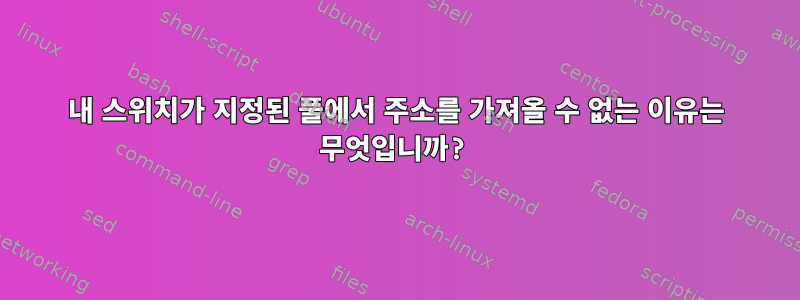 내 스위치가 지정된 풀에서 주소를 가져올 수 없는 이유는 무엇입니까?