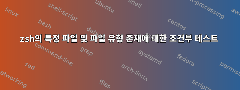 zsh의 특정 파일 및 파일 유형 존재에 대한 조건부 테스트