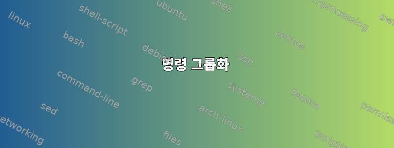 명령 그룹화