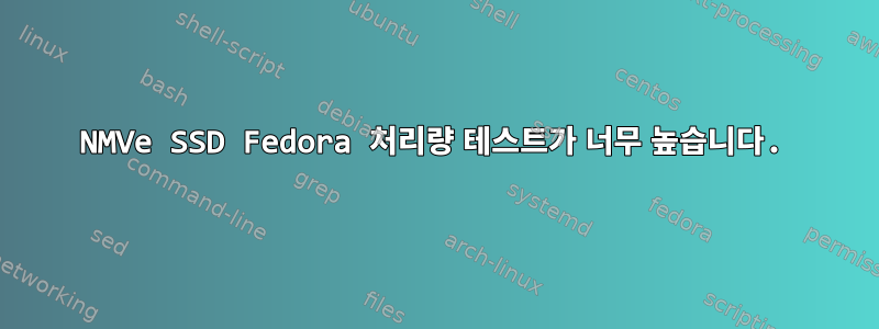 NMVe SSD Fedora 처리량 테스트가 너무 높습니다.