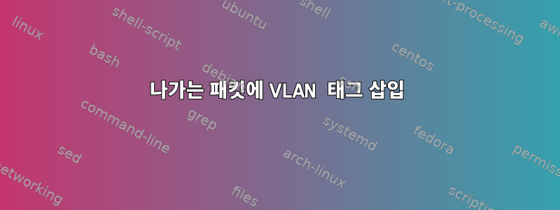 나가는 패킷에 VLAN 태그 삽입