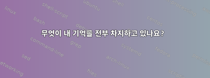 무엇이 내 기억을 전부 차지하고 있나요?