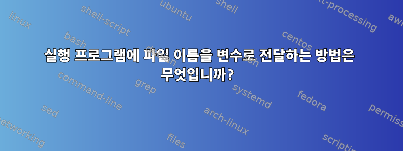 실행 프로그램에 파일 이름을 변수로 전달하는 방법은 무엇입니까?