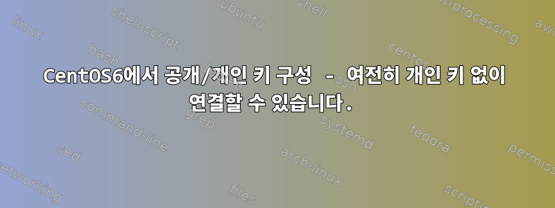 CentOS6에서 공개/개인 키 구성 - 여전히 개인 키 없이 연결할 수 있습니다.