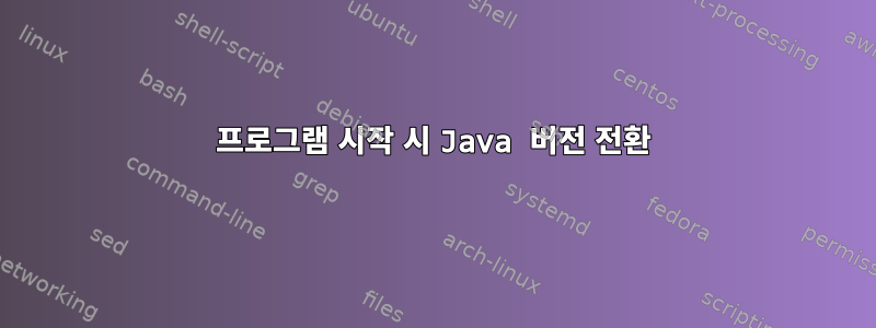 프로그램 시작 시 Java 버전 전환