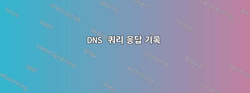 DNS 쿼리 응답 기록