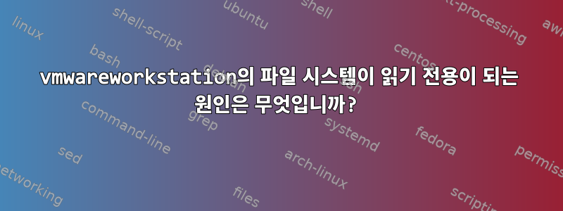 vmwareworkstation의 파일 시스템이 읽기 전용이 되는 원인은 무엇입니까?