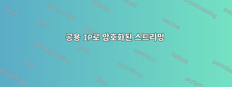 공용 IP로 암호화된 스트리밍