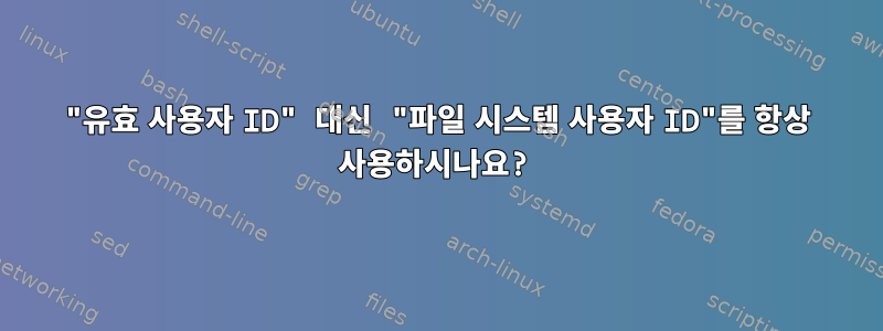 "유효 사용자 ID" 대신 "파일 시스템 사용자 ID"를 항상 사용하시나요?