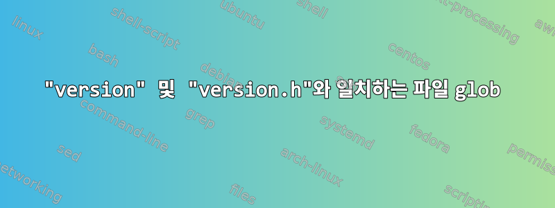 "version" 및 "version.h"와 일치하는 파일 glob