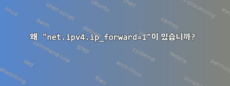 왜 "net.ipv4.ip_forward=1"이 있습니까?