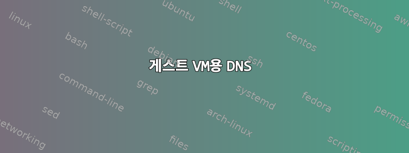 게스트 VM용 DNS