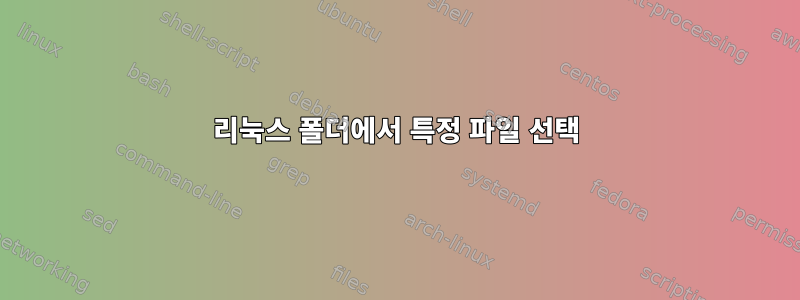 리눅스 폴더에서 특정 파일 선택