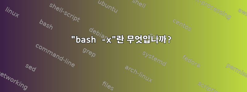 "bash -x"란 무엇입니까?