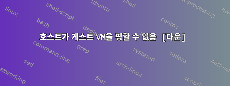 호스트가 게스트 VM을 핑할 수 없음 [다운]