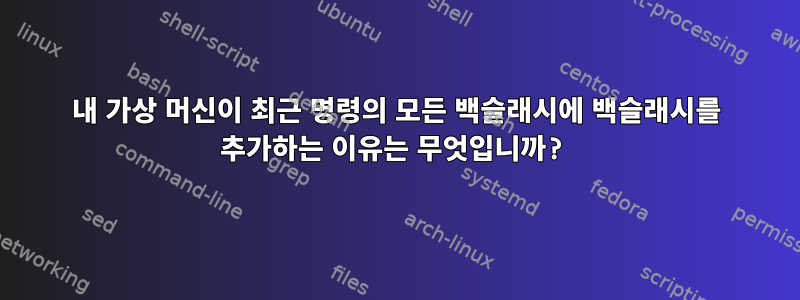 내 가상 머신이 최근 명령의 모든 백슬래시에 백슬래시를 추가하는 이유는 무엇입니까?