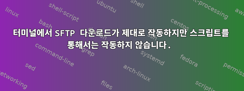 터미널에서 SFTP 다운로드가 제대로 작동하지만 스크립트를 통해서는 작동하지 않습니다.