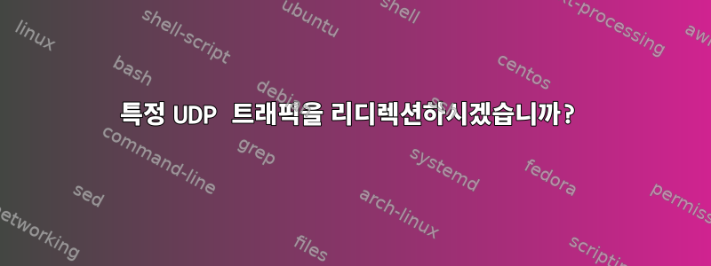 특정 UDP 트래픽을 리디렉션하시겠습니까?