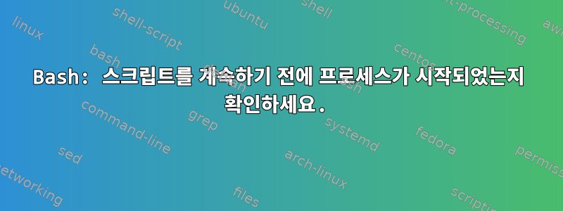 Bash: 스크립트를 계속하기 전에 프로세스가 시작되었는지 확인하세요.