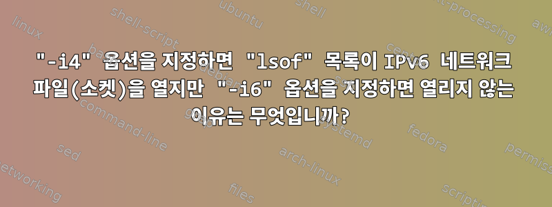 "-i4" 옵션을 지정하면 "lsof" 목록이 IPv6 네트워크 파일(소켓)을 열지만 "-i6" 옵션을 지정하면 열리지 않는 이유는 무엇입니까?