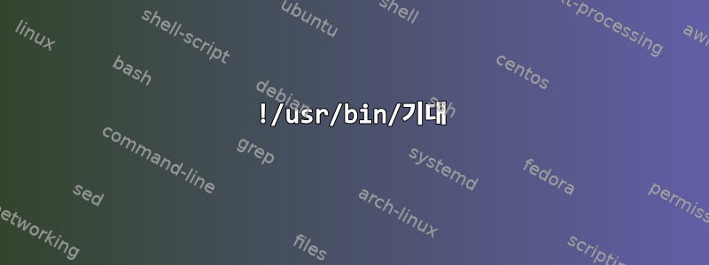 !/usr/bin/기대