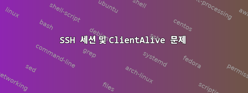 SSH 세션 및 ClientAlive 문제