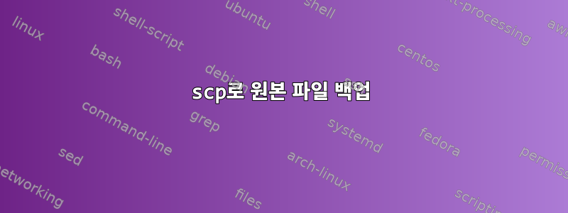 scp로 원본 파일 백업