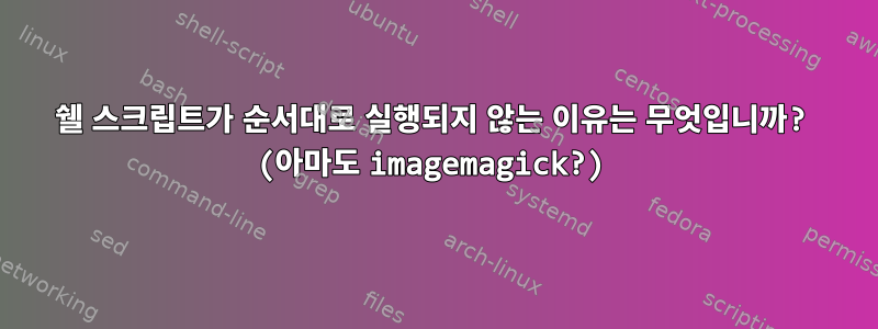 쉘 스크립트가 순서대로 실행되지 않는 이유는 무엇입니까? (아마도 imagemagick?)