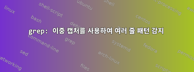 grep: 이중 캡처를 사용하여 여러 줄 패턴 감지