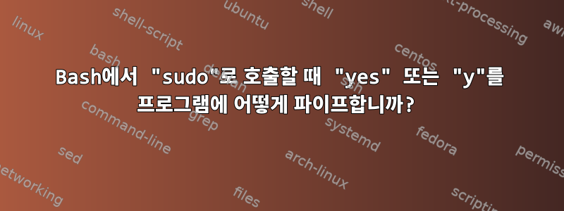 Bash에서 "sudo"로 호출할 때 "yes" 또는 "y"를 프로그램에 어떻게 파이프합니까?