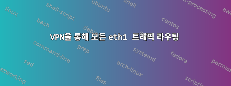 VPN을 통해 모든 eth1 트래픽 라우팅