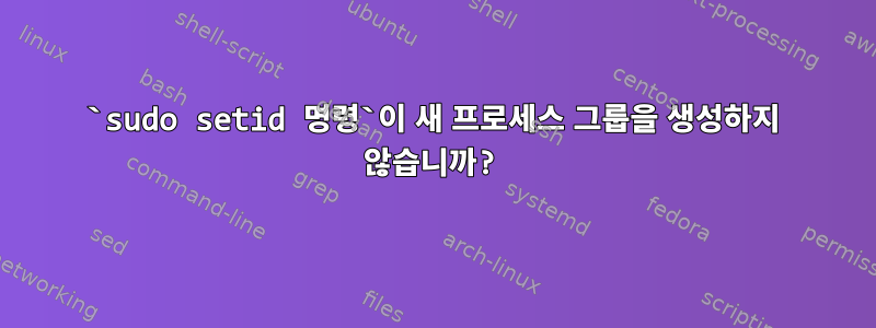 `sudo setid 명령`이 새 프로세스 그룹을 생성하지 않습니까?