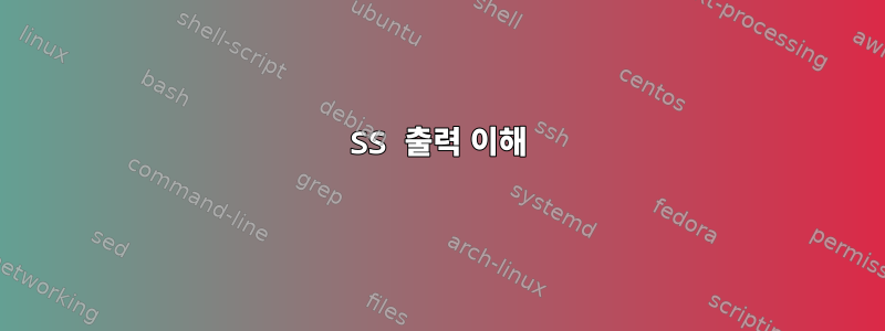 SS 출력 이해