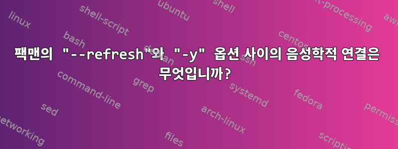 팩맨의 "--refresh"와 "-y" 옵션 사이의 음성학적 연결은 무엇입니까?