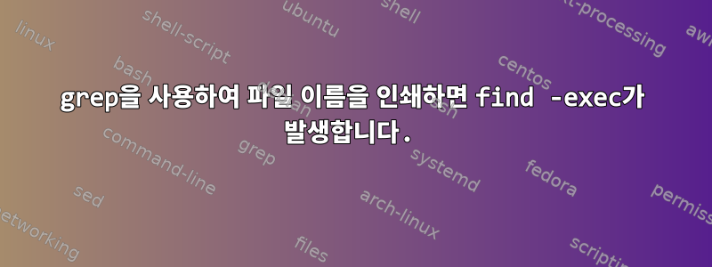 grep을 사용하여 파일 이름을 인쇄하면 find -exec가 발생합니다.