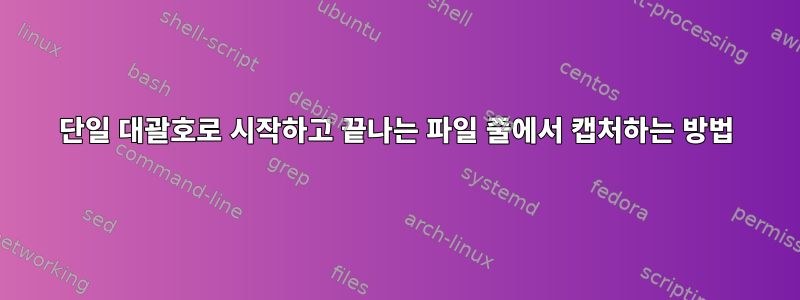 단일 대괄호로 시작하고 끝나는 파일 줄에서 캡처하는 방법