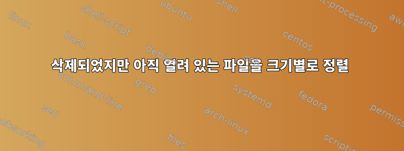 삭제되었지만 아직 열려 있는 파일을 크기별로 정렬