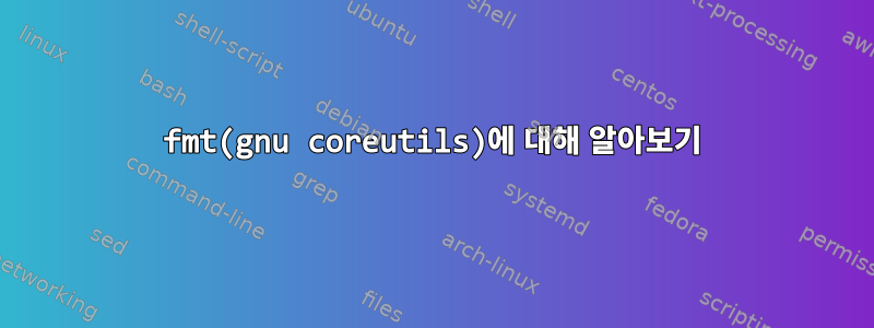 fmt(gnu coreutils)에 대해 알아보기