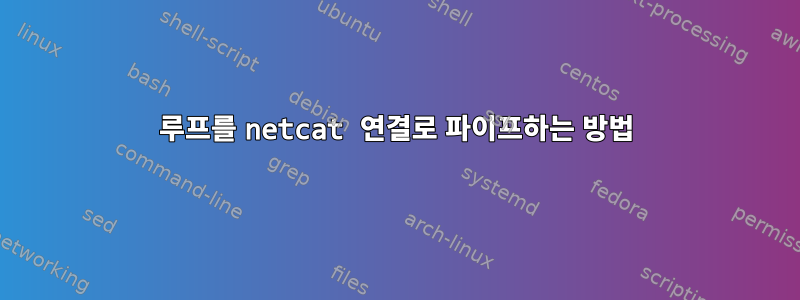 루프를 netcat 연결로 파이프하는 방법