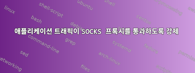 애플리케이션 트래픽이 SOCKS 프록시를 통과하도록 강제