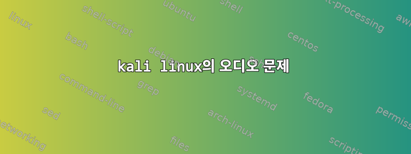 kali linux의 오디오 문제