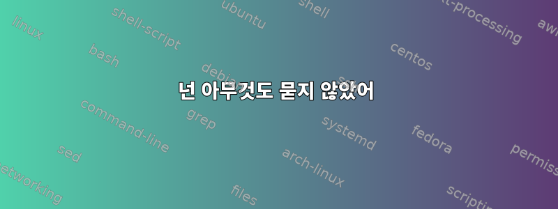 넌 아무것도 묻지 않았어