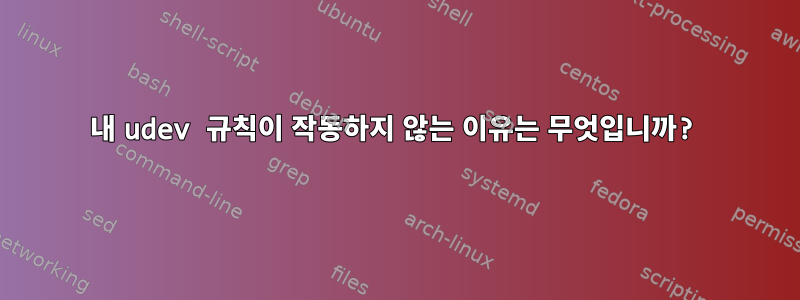 내 udev 규칙이 작동하지 않는 이유는 무엇입니까?