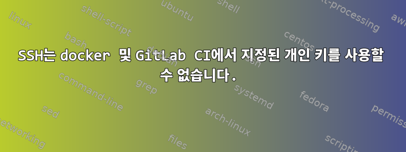 SSH는 docker 및 GitLab CI에서 지정된 개인 키를 사용할 수 없습니다.